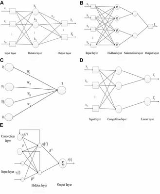 The Diagnosis of Autism Spectrum Disorder Based on the Random Neural Network Cluster